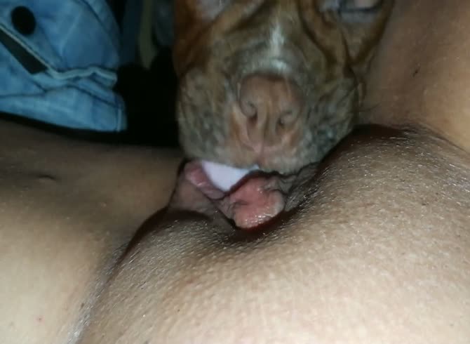 How lick a pussy